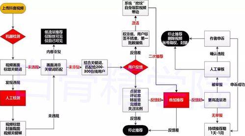 揭秘抖音职位分配（这些职位你知道吗？）