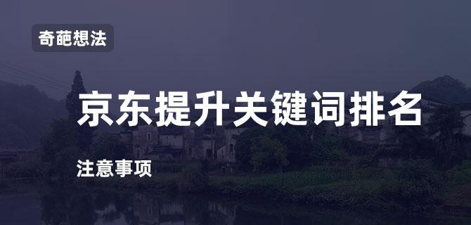 新网站没有排名？避免这些操作！（提高网站排名，远离以下10大操作！）