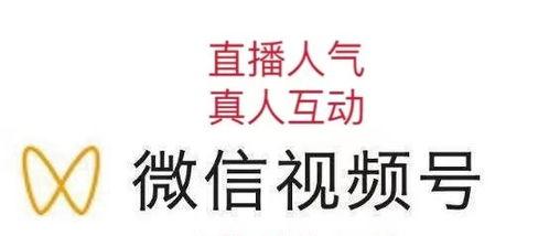 微信视频号直播攻略（如何在微信视频号上做直播）