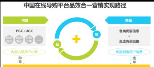 用数据分析解析网站降权原因（从数据出发，找到网站排名下滑的根源）