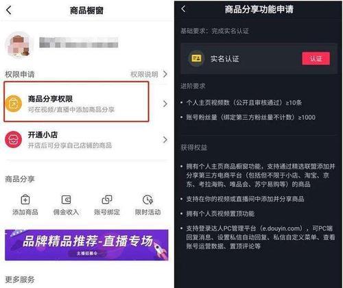 抖音粉丝涨到1000才会有收益，真的吗？（揭秘抖音粉丝数量与收益的关系，你需要知道的关键信息！）