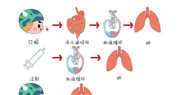 优化中需注意的10大误区（避免误区，优化效果更显著）