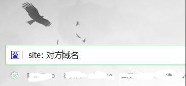 友情连接的重要性及优化策略（打造高质量的友情连接，提升网站关注度和流量）