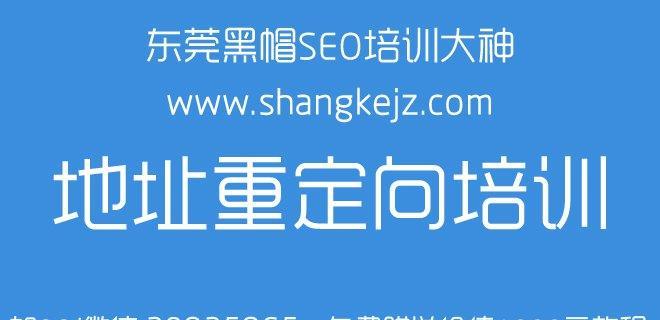 如何通过SEO技术实现网站盈利（SEO技术与盈利的关系）