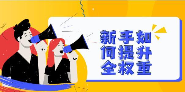 提升网站权重的10个有效方法（实用技巧让你的网站在搜索引擎中更有竞争力）