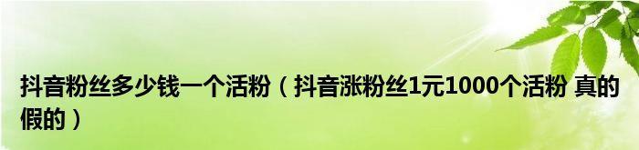 如何在抖音了解作品粉丝增长情况（掌握抖音作品粉丝增长数据，优化内容创作）