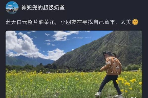 如何开通抖音直播权限？（教你步步为营，轻松实现直播权限开通）