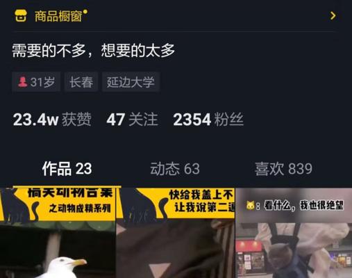 满1000粉抖音怎么开橱窗？（从零到一，教你如何在抖音上开启橱窗之路）