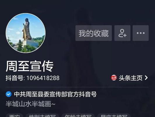 上了1000粉丝以后怎么玩好抖音？（抖音营销攻略分享，让你成为抖音达人！）