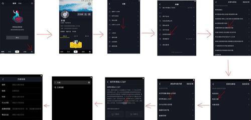 抖音登录权限开通指南（教你如何在抖音上开通账号登录权限，尽情享受抖音乐趣）