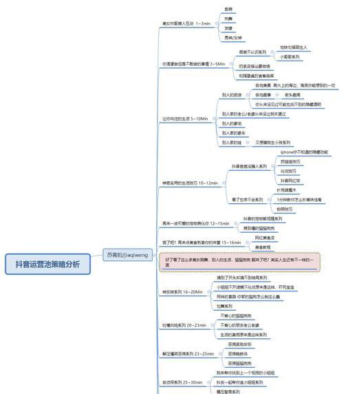 解析抖音短视频的商业价值（从用户、内容、变现三个角度深入探究抖音的商业模式）