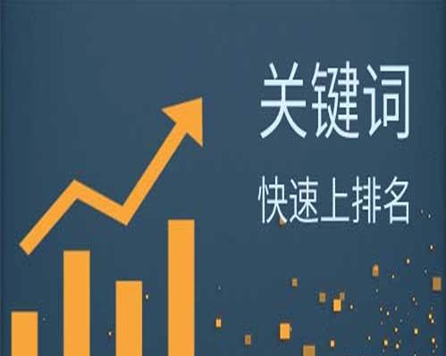 SEO长尾优化技巧解析（打破常规）