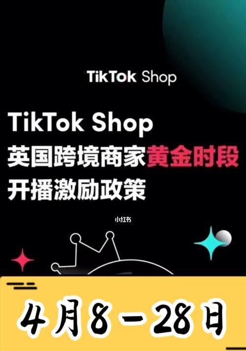 如何查看TikTokShop新店铺考察期的每日订单？（掌握TikTokShop新店铺考察期订单查看方法）