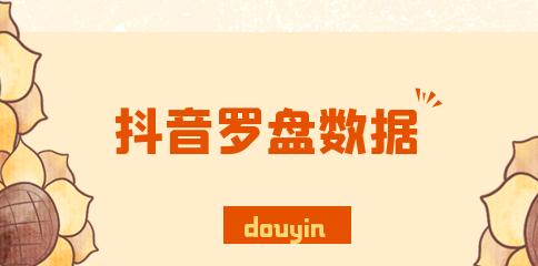 抖音电商罗盘数据不显示问题解决方法（掌握电商罗盘数据显示方法提高抖音电商效率）