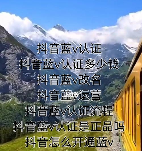 揭秘抖音蓝V认证