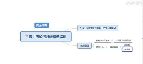 揭秘抖音小店精选联盟排名的奥秘（如何提高抖音小店联盟排名）