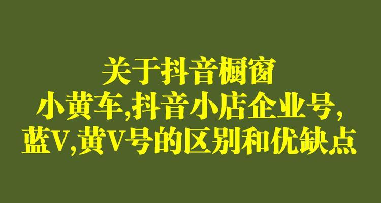 探究抖音小店蓝V认证的奥秘（从认证条件到营销实践）