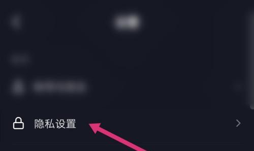 抖音隐私设置详解（掌握抖音隐私设置）