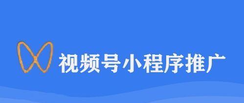 深度剖析视频号内容类型（视频号内容类型全面解析）