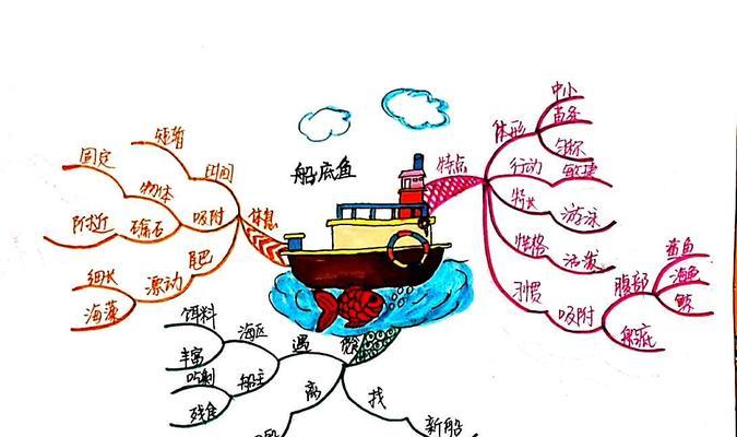 思维导图助力排名提升（从认识思维导图到实现排名提升）