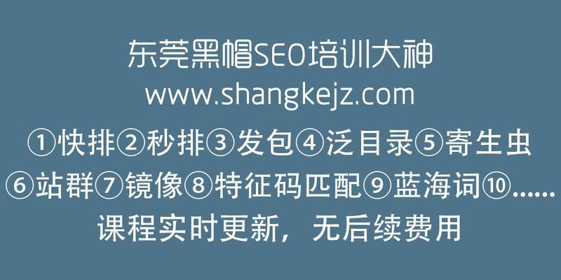 探秘黑帽SEO优化的14种技巧（揭开黑色搜索引擎优化的面纱）