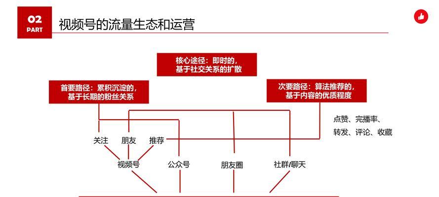 视频号运营类别解析（打造专业的视频内容）