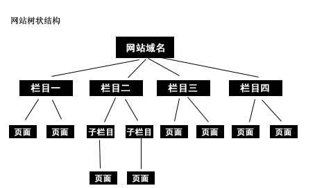 揭秘常见的SEO优化四大盲区（避开这些陷阱）