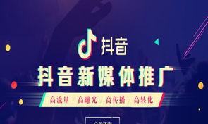 抖音二创激励计划（为优质二创用户提供更多机会）