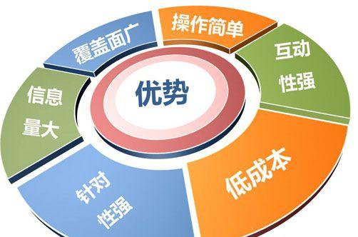 企业网站排名优化重点解析（从选择到内容更新）