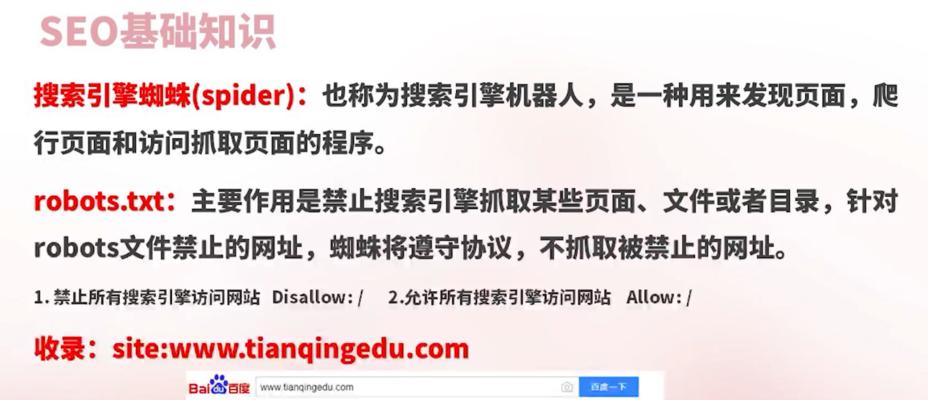 如何优化网站SEO，提升搜索引擎排名（掌握有效的SEO技巧）