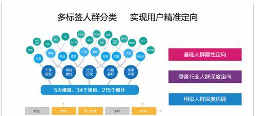 网络优化的选择与布局技巧（提升网站流量的秘诀）