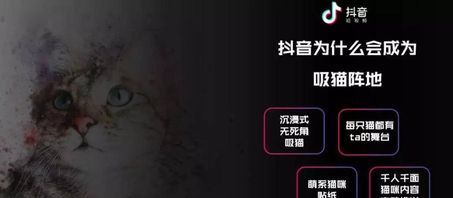 打造流行潮流，如何在抖音创作合集中设置主题（探索抖音创作合集设置方法）