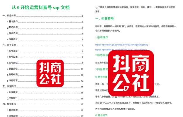 如何写一份的抖音解封申诉文案（从申诉文案撰写技巧到关键要点全面解析）