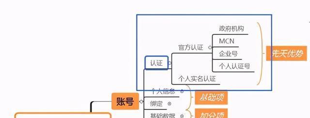 揭秘抖音平台的推荐机制（从用户行为到算法分析）