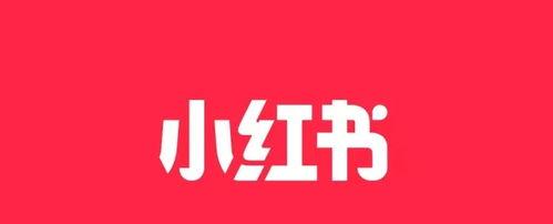 小红书笔记发文章攻略（从主题到结尾，轻松打造有趣的笔记文章）