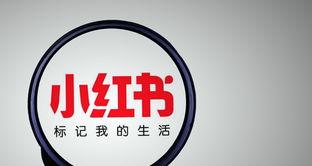 小红书吸粉小技巧（小红书实操分享，教你从小白变大佬）