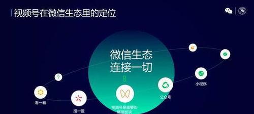 如何让视频号直播间人气爆棚（打造高质量内容，吸引粉丝忠诚度）