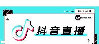 抖音行业分类及其发展趋势（抖音行业的多元化发展与未来趋势分析）