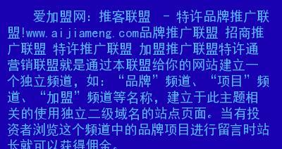 网站推广还是网站营销，哪个更适合你的业务（从选择到营销策略）