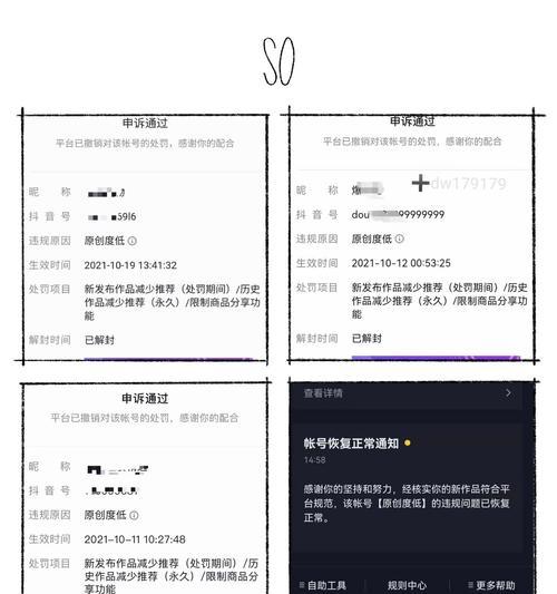 如何申诉抖音违规行为（详解申诉流程及注意事项）