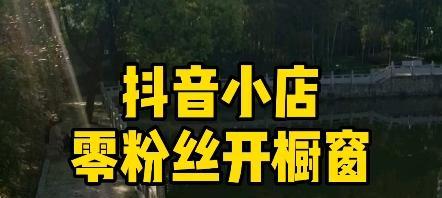 揭秘抖音小店橱窗背后的设计理念（从主题、定位、布局到营销）