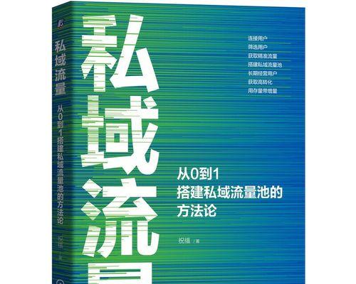 创新引流策略，助力新网站快速发展（探索新方法）