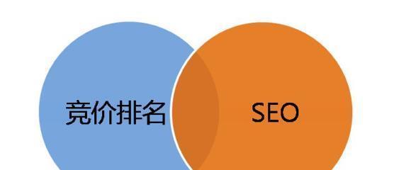 小型企业SEO推广能力全解析（如何让小型企业在互联网上走向成功）