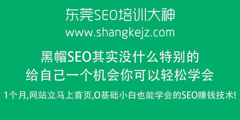 打造高点击率网站的SEO技巧（学会如何让你的网站在搜索引擎中排名更靠前）