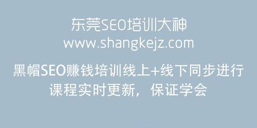 SEO网站页面代码解析（理解SEO网站代码对于优化的重要性）