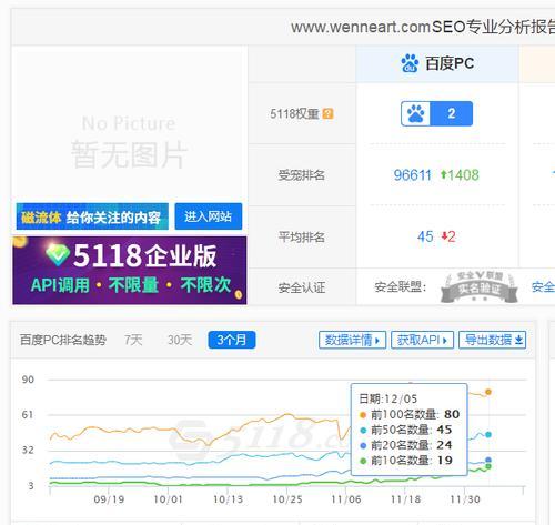 SEO细节决定网站排名——百度首页优化指南（15个关键点让你的网站排名领先于竞争对手）