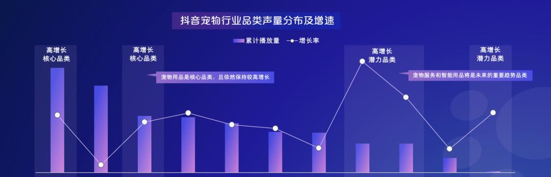 抖音电商电子面单的应用与意义（探究电子面单在抖音电商中的重要性）