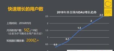 抖音竞价推广攻略（快速掌握抖音竞价推广）