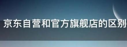 官方店和旗舰店有什么区别？都是真货吗？