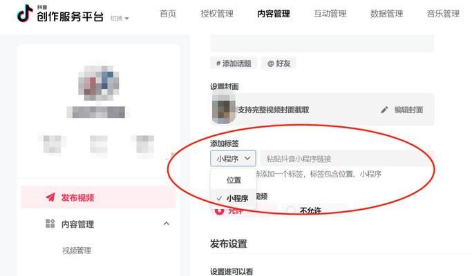 掌握抖音网页版发视频技巧，成为抖音短视频达人（抖音网页版视频上传详解）